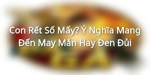 Con Rết Số Mấy? Ý Nghĩa Mang Đến May Mắn Hay Đen Đủi